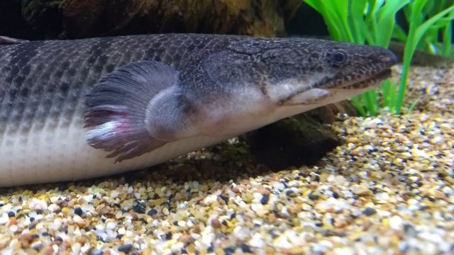 IMG_20170819_121558607.jpg