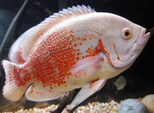 20180327_104105.jpg 20180327_104105.jpg