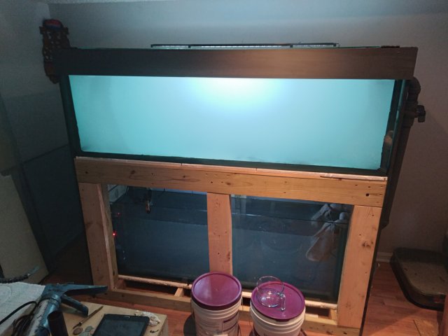 20210216_172026.jpg