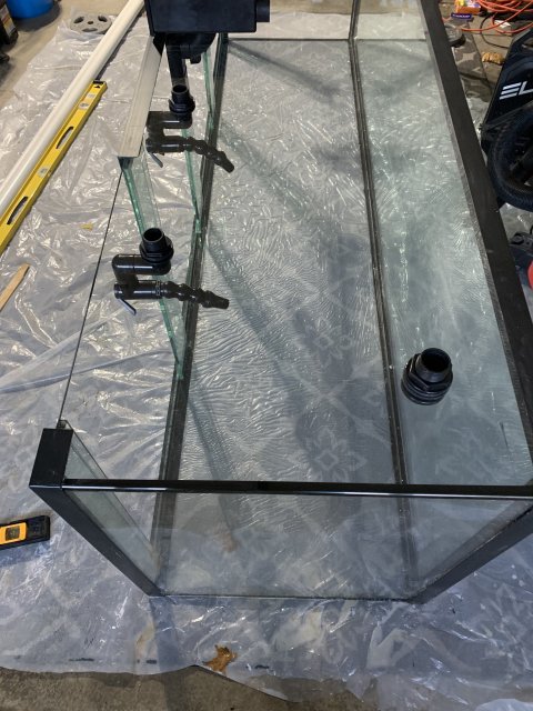 Photo Feb 23, 5 14 53 PM.jpg