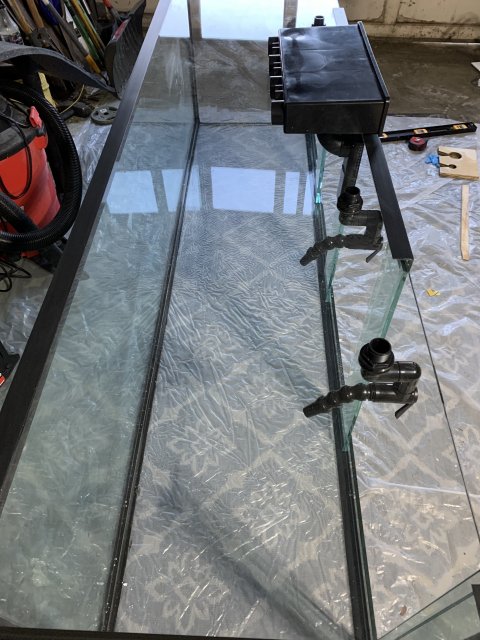 Photo Feb 23, 5 15 02 PM.jpg