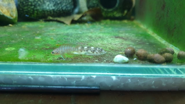 20210120_170812.jpg