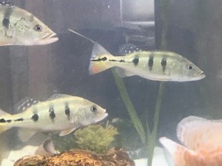 IMG_7537.jpg