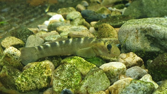 20210201_220800.jpg