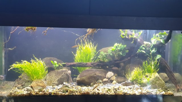 20210126_222527.jpg