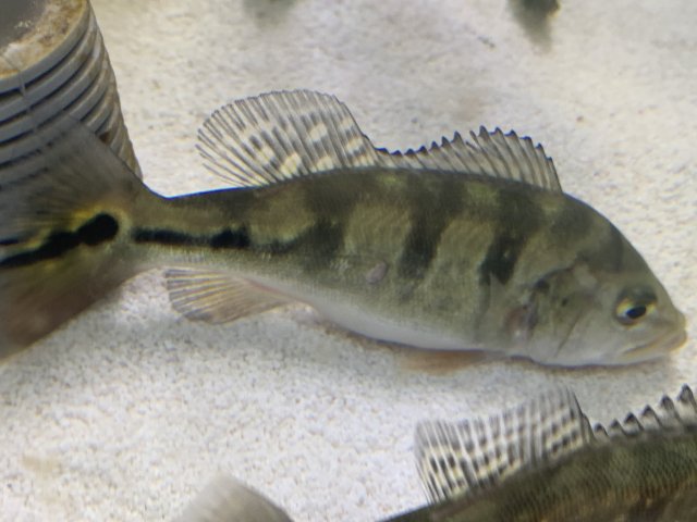 IMG_5920.jpg