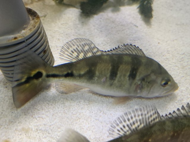 IMG_5922.jpg