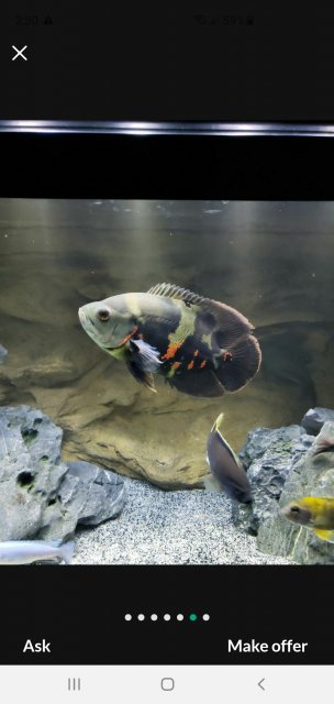 Screenshot_20210226-143009_OfferUp.jpg