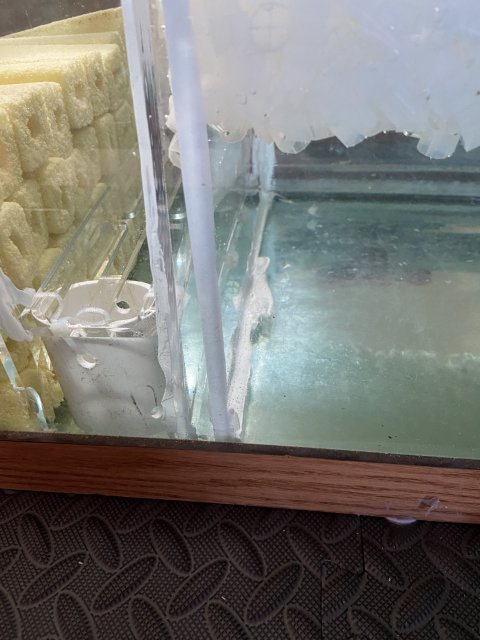 IMG-7173.jpg