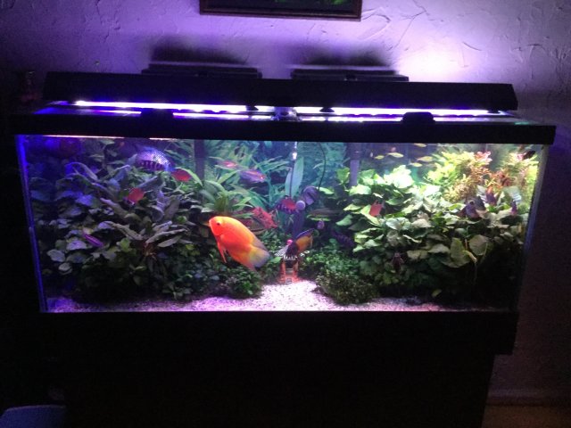 E0DEC212-C35D-4BB8-896A-6F79BF0B8635.jpeg