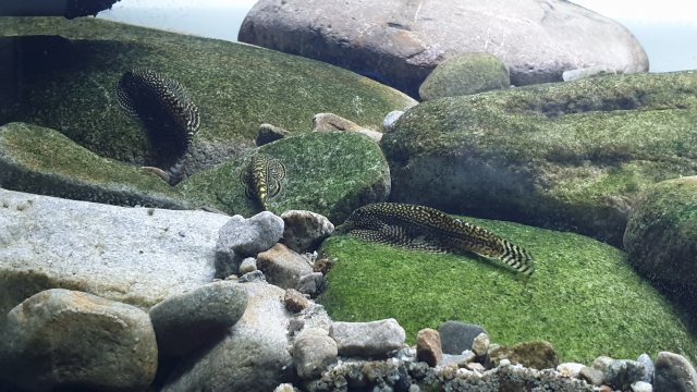 20210228_154325.jpg