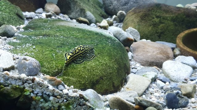20210228_154317.jpg