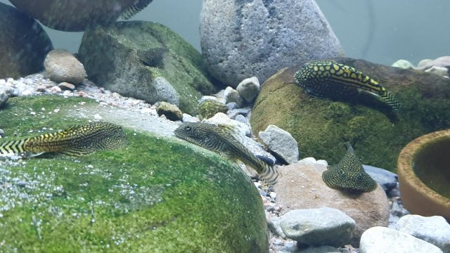20210301_164333.jpg