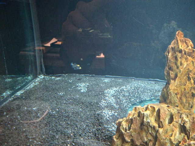 20210304_165603.jpg