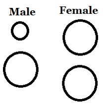 7BDD2547-7464-4200-AB7B-5D648354239F_4_5005_c.jpeg