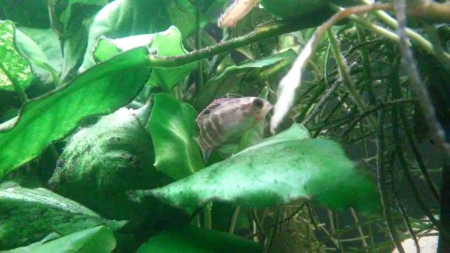 20210306_223911.jpg 20210306_223911.jpg