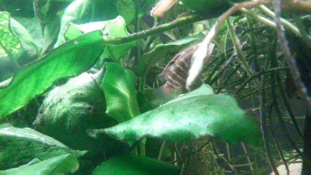 20210306_223915.jpg 20210306_223915.jpg