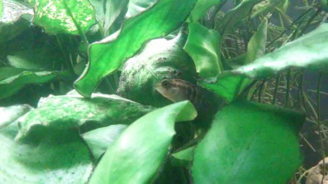 20210306_224015.jpg 20210306_224015.jpg