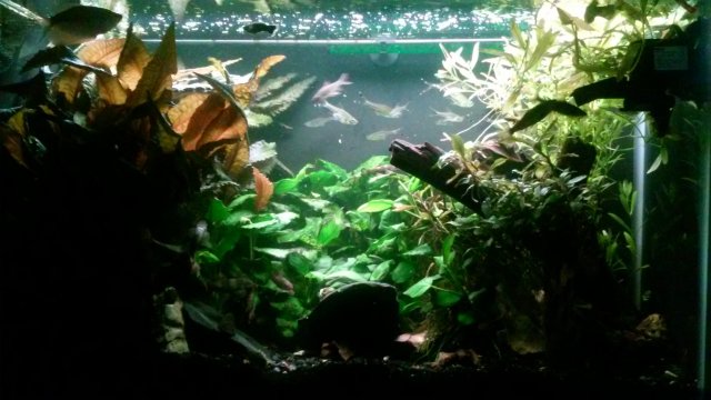 20210306_224342.jpg 20210306_224342.jpg