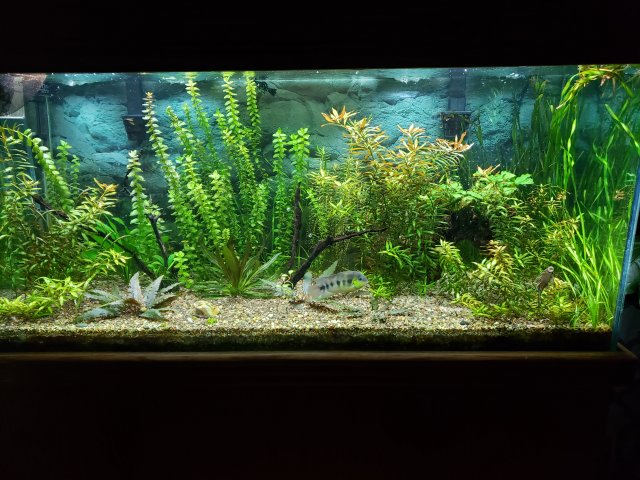 20210309_180743.jpg