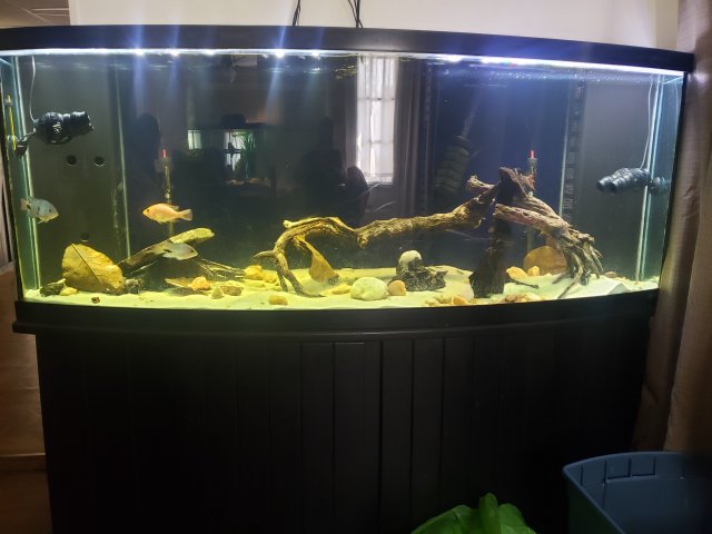 20210310_095129.jpg