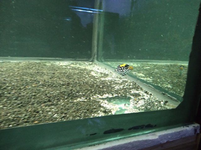 20210310_192020.jpg