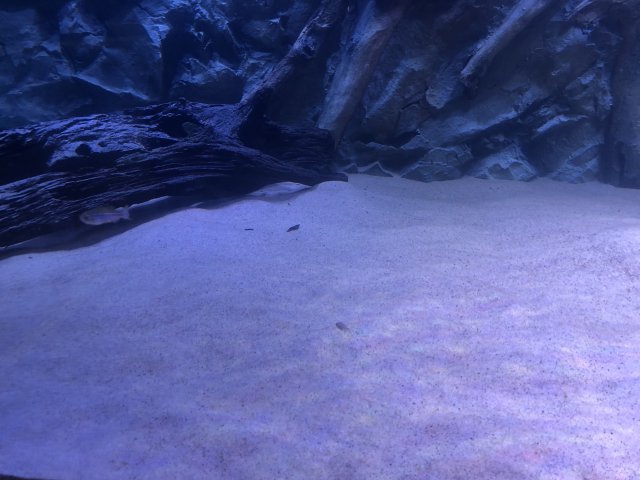 B06BE2B7-FD76-4D27-822E-F779056147C0.jpeg