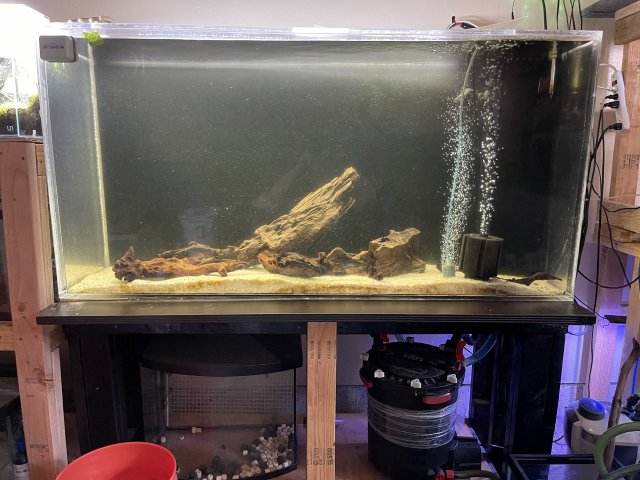 E465EB92-8588-41EF-86C2-6B8DDE2BEFEE.jpeg E465EB92-8588-41EF-86C2-6B8DDE2BEFEE.jpeg