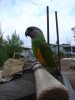 DSC01565.JPG