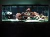DSC00556.JPG