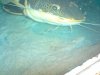 DSC00017.JPG