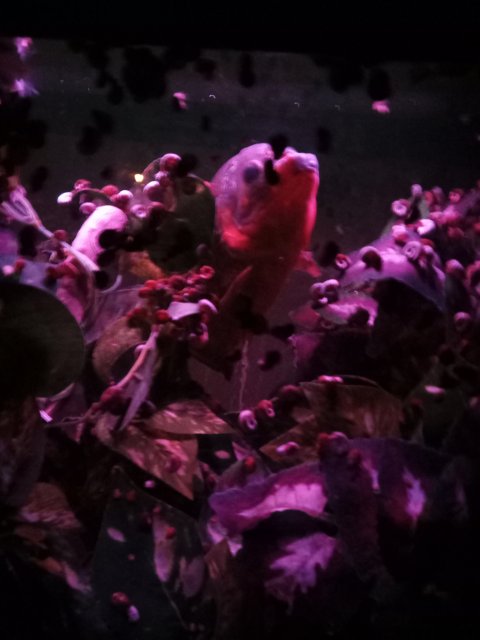 IMG_20210314_205058.jpg IMG_20210314_205058.jpg