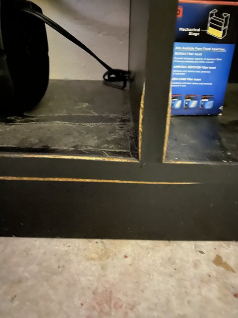 E9643B0F-1F24-4772-9C8C-B32CF7EB3580.jpeg E9643B0F-1F24-4772-9C8C-B32CF7EB3580.jpeg