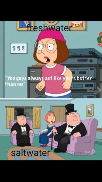 FB_IMG_1570472015328.jpg