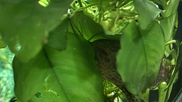 CB91036C-6208-4912-AC75-1F4F27E22D40.jpeg