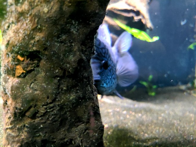 20210322_213449.jpg