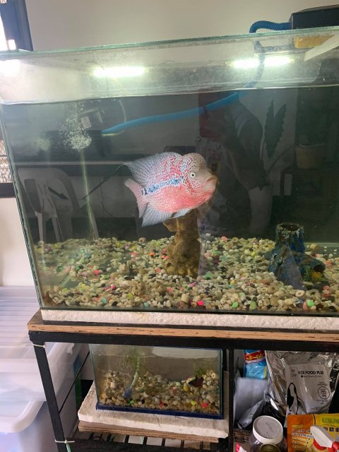 163290878_857270225005392_7233352127800825788_n.jpg 163290878_857270225005392_7233352127800825788_n.jpg