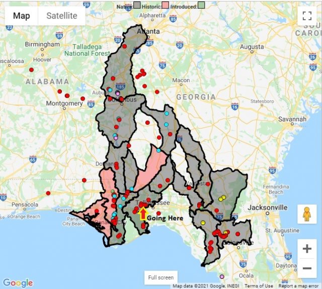 Spotted Catfish Location Map location.jpg
