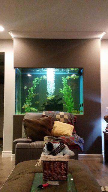 20151215_171425.jpg