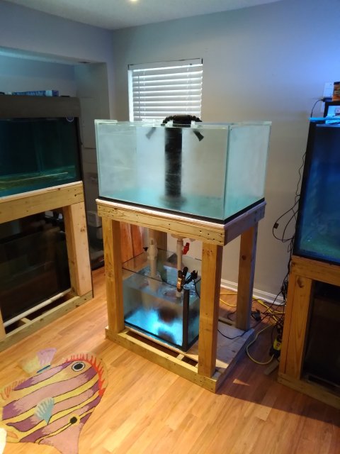 20210326_094528.jpg