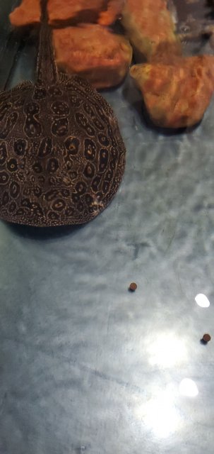 20210330_134353.jpg