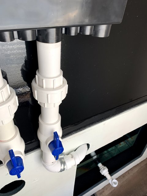 IMG_2061.jpg IMG_2061.jpg