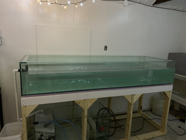 8F075953-56AD-4E53-8494-D78579E613A3.jpeg
