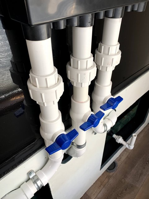 IMG_2062.jpg IMG_2062.jpg