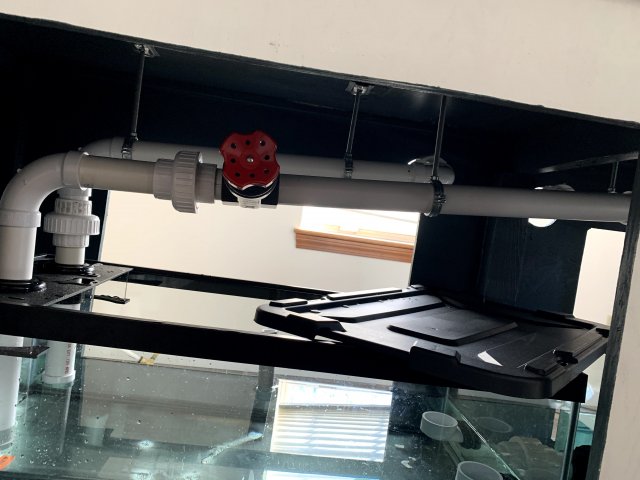 IMG_2065.jpg IMG_2065.jpg