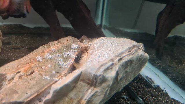 20210321_181241.jpg