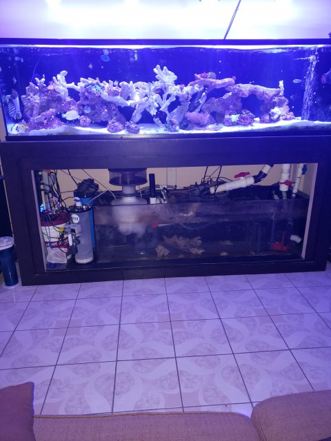 20210402_213213 (1).jpg