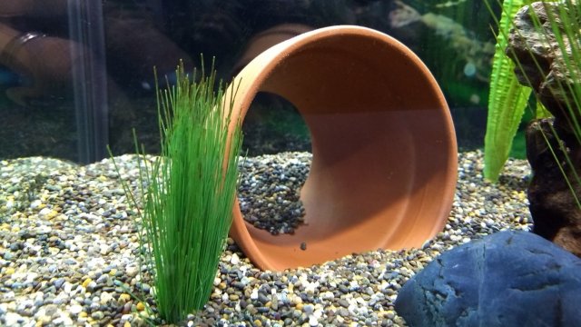 IMG_20210403_165257377.jpg