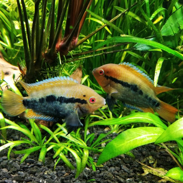 IMG_20201001_153213_225.jpg IMG_20201001_153213_225.jpg