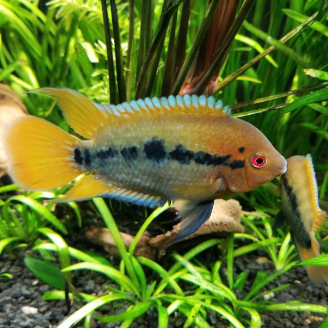 IMG_20201001_152803_812.jpg IMG_20201001_152803_812.jpg